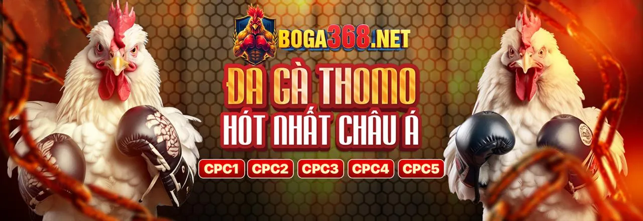 Hình ảnh một trận đấu đá gà trực tuyến gay cấn tại viva88 login
